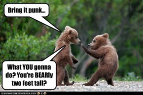 Adventure Bears I: Fight Cub