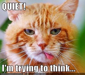 QUIET!  I'm trying to think...