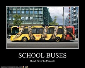 SCHOOL BUSES