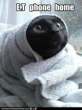 E.T cat version!!