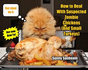 How to Deal With Suspected Zombie Chickens  (And Small Turkeys)