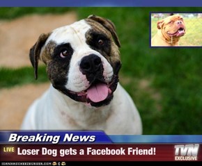 Breaking News - Loser Dog gets a Facebook Friend!