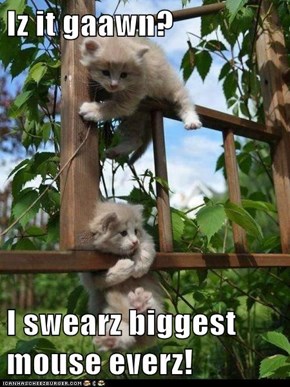 Iz it Gaawn? 