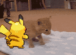 Classic: Pikachu! What Are You Doing1