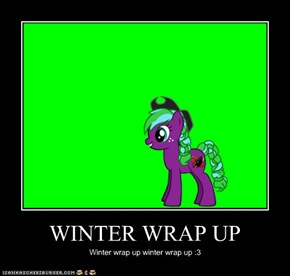 WINTER WRAP UP