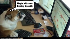 Secretary Dog Does Your Schedule