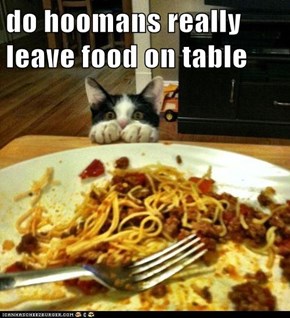 do hoomans really leave food on table