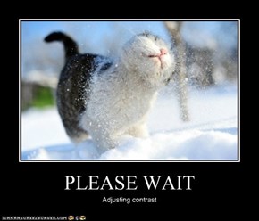 PLEASE WAIT