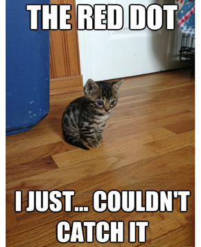 Flashback Kitten 