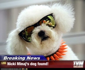 Breaking News - Nicki Minaj's dog found!