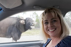 Photo Bomb Bull! 