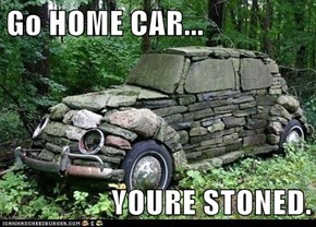 Go HOME CAR...  YOURE STONED.
