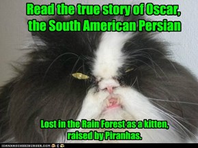 Read the true story of Oscar,  the South American Persian