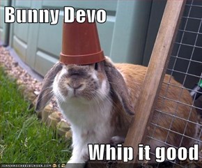 Bunny Devo  Whip it good