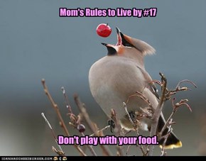 Mom's Rules to Live by #17