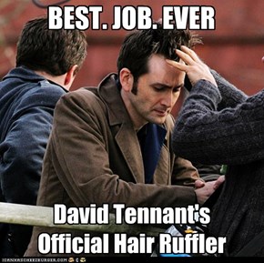 David Tennant's Hair Ruffler