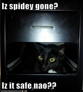 Iz spidey gone?  Iz it safe nao??