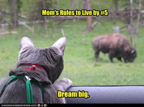 Mom's Rules to Live by #5