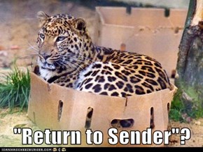 "Return to Sender"?