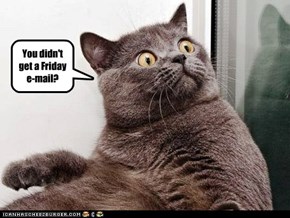 You didn't get a Friday e-mail?