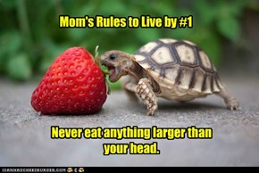 Mom's Rules to Live by #1