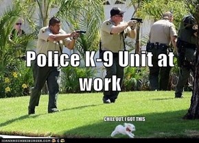 Police K-9 Unit at work