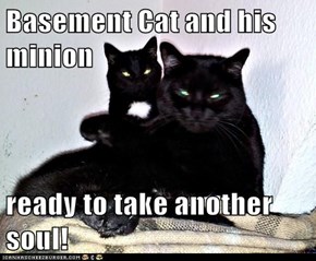 Basement Cat and his minion  ready to take another soul!