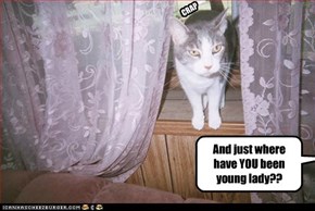And just where have YOU been young lady??