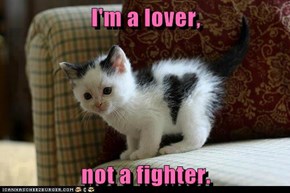 I'm a lover,   not a fighter.
