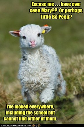 Why Does This Lamb Have an English Accent?