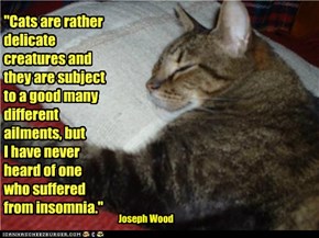 "Cats are rather delicate creatures and they are subject to a good many different ailments, but  I have never heard of one who suffered from insomnia."