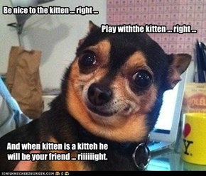 Be nice to the kitten ... right ...
