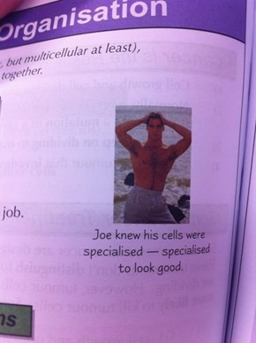 Joe Loves His Cell Composition
