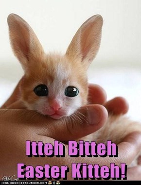 Itteh Bitteh                   Easter Kitteh!