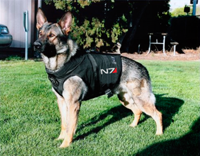 This is Commander Shepherd and This is My Favorite Yard in the Citadel