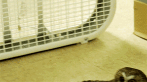 Cooling Off