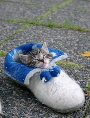 His Sleepingbag
