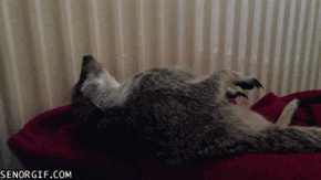 The Best Way to Wake Someone Up