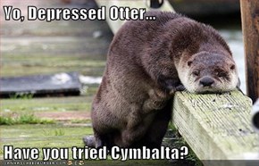 Yo, Depressed Otter...  Have you tried Cymbalta?