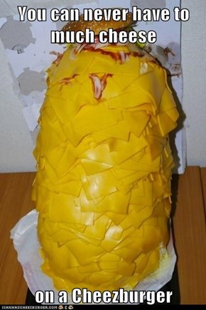 You can never have to much cheese  on a Cheezburger