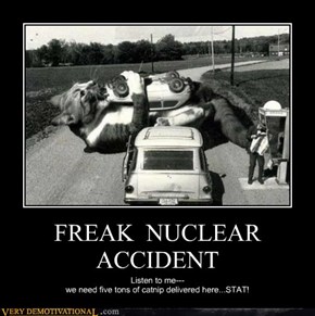 FREAK  NUCLEAR  ACCIDENT