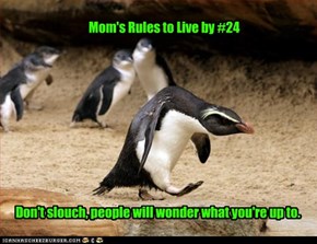 Mom's Rules to Live by #24