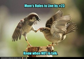 Mom's Rules to Live by #23