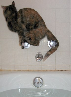 Dear God, Not the Bath