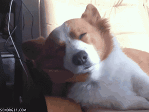 Oh no!,Was That Due Today?
