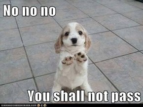 Stop, Please!