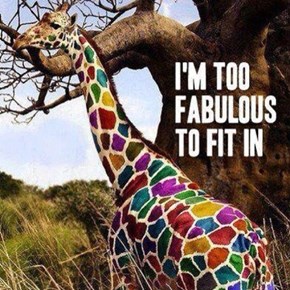 Now That's a Giraffe of a Different Color! 