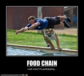 FOOD CHAIN