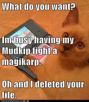 What do you want? Im busy having my Mudkip fight a magikarp. Oh and I deleted your file.