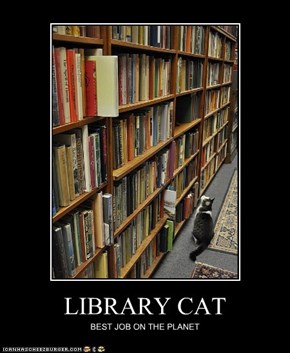 LIBRARY CAT